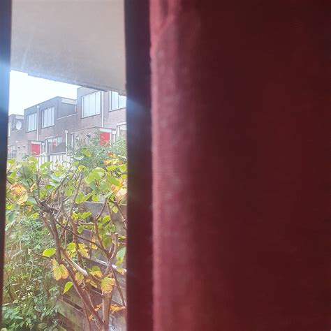 Broze dagenUitgeverij Van Oorschot