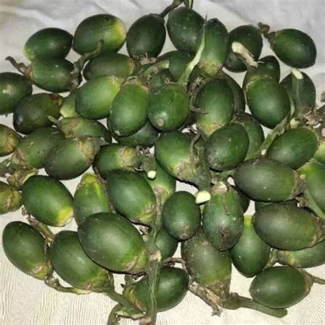 Jual Buah Jambe Pinang Muda Jambe Pinang Tua Segar Grm Indonesia