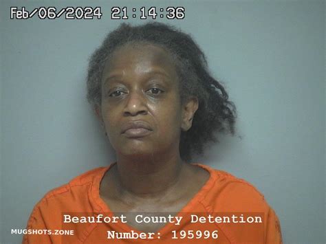 Elaine Powell 02 06 2024 Beaufort County Mugshots Zone