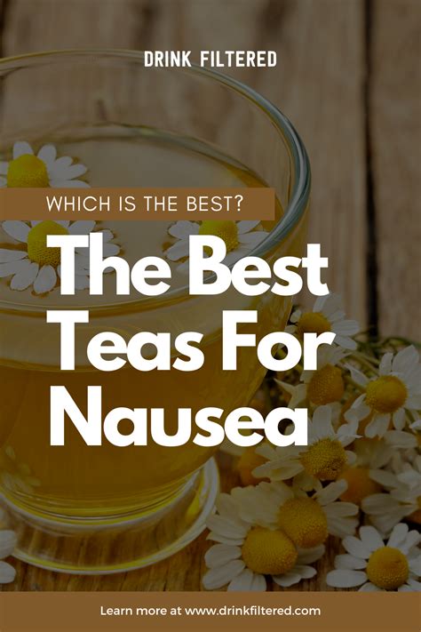 The 10 Best Teas For Nausea That You Can Make At Home