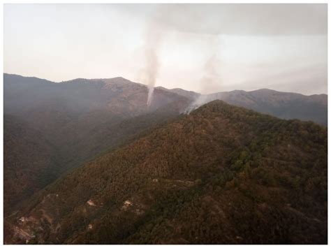 Imperia Spento L Incendio Sopra I Boschi Di Dolcedo