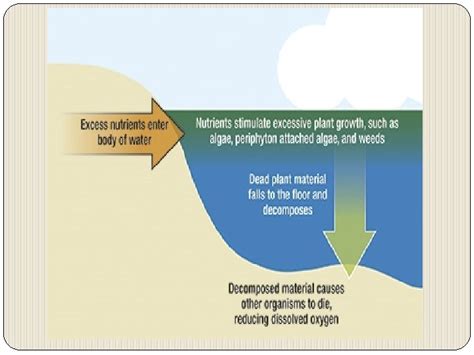 Water Pollution Examples of Polluted Waters WATER POLLUTION