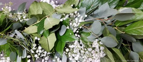 Fresh Baby's Breath, Salal & Seeded Eucalyptus Garland By Pacific ...