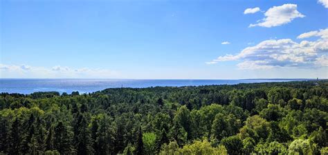 Санаторий Балтийский берег | Официальный сайт | СПб и Ленинградская область