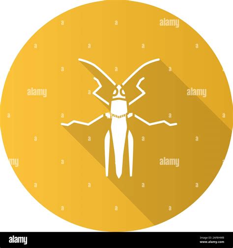 Grasshopper Flat Design Long Shadow Glyph Icons Set Insect Pest