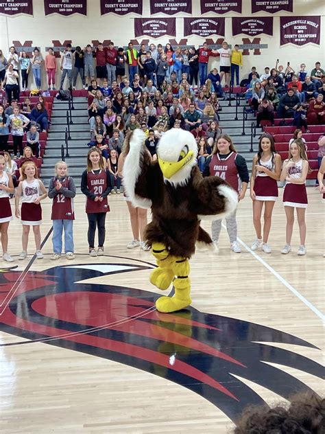 Meet Talon Our Eagle Mascot Eagles Cheerleading Madisonville