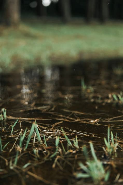 Expert Home Services for Foundation and Moisture Control - Whispered