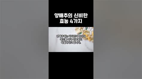 양배추의 신비한 효능 4가지 소개 영상마인드윈 건강 자기개발 Youtube