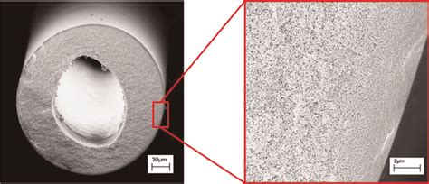 Sem Images Showing The Cross Sectional Structure Of Hollow Fi Bers