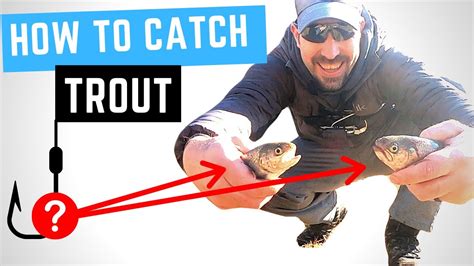 How To Catch STOCKED TROUT Best Bait 21 TROUT In 1 Morning YouTube