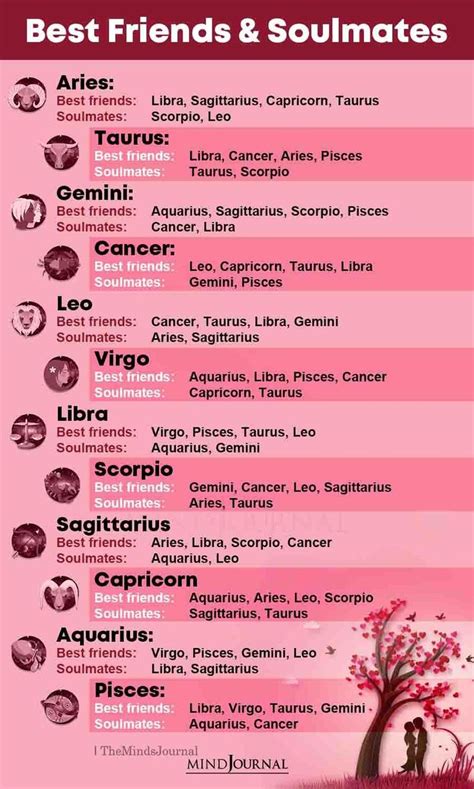 Discover Zodiac Signs And Their Perfect Companions