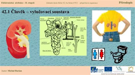 Ppt Lov K Vylu Ovac Soustava Powerpoint Presentation Free