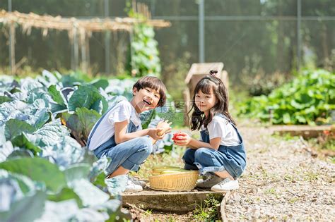 小朋友农场采摘高清图片下载 正版图片501341357 摄图网