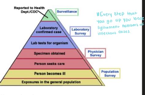 Quiz 1 Understanding Public Health Roles Flashcards Quizlet