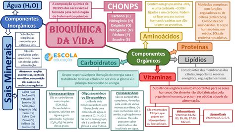 Bioquímica da vida Mapa mental carboidratos proteínas vitaminas