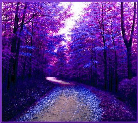 Purple Nature Wallpapers - 4k, HD Purple Nature Backgrounds on WallpaperBat