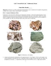 Riley Brandt Lab Rock Identification Lab Sedimentary Rocks Docx