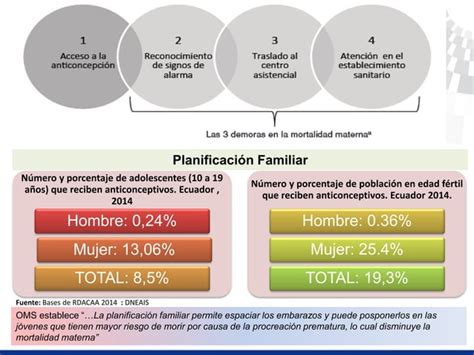 Estrategia Reduccion Muerte Materna 1 Ppt