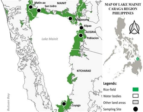 Map of ricefield stations in Lake Mainit, Philippines. | Download ...