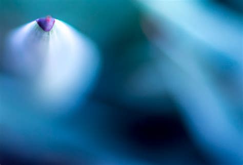 Free Images Drop Light Bokeh Abstract Sunlight Spiral Flower