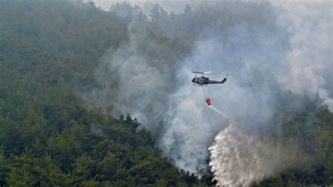 'Possible' Lebanon forest fire started on purpose: minister