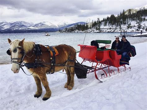 The Beauty Of Owning A Log Cabin In Lake Tahoe | Zook Cabins Blog