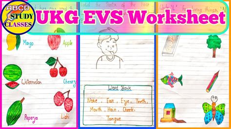 Ukg Evs Worksheet Evs Worksheet Evs Worksheet For Ukg Ukg