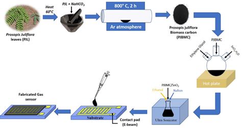 Schematic Of The Synthesis Process Flow Of Prosopis Juliflora Derived