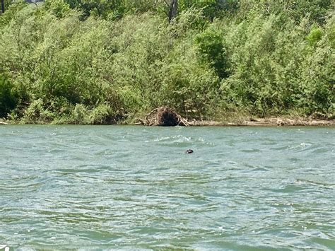 Divided Core - Nature - Kayaking on the Russian River