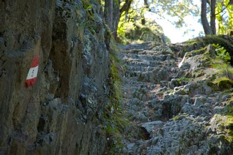 Wanderung Tisens Wandern in Südtirol Gardasee Wandertipps mit