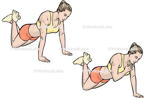 Modified Plank Shoulder Taps / Planks – WorkoutLabs Exercise Guide