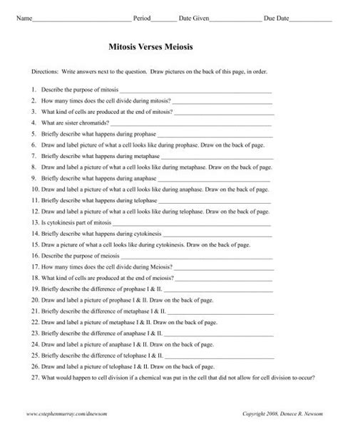 Mitosis Vs Meiosis Worksheet Answers – Englishworksheet.my.id