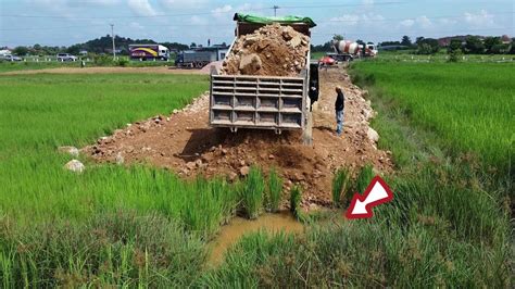 Nice Action Filling Rice Field Strong Bulldozer Komatsu Pushing Rock