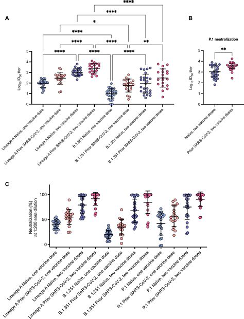 Two Doses Of The Sars Cov 2 Bnt162b2 Vaccine Enhance Antibody Responses