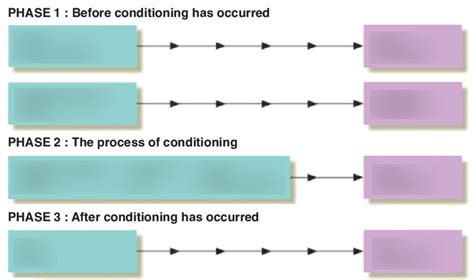 2.2a: Learning (Classical conditioning) Diagram | Quizlet