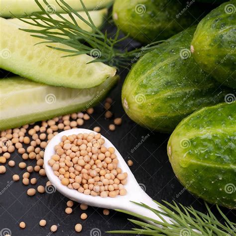 Fresh Gherkin Stock Image Image Of Seed Green Mustard 30468669