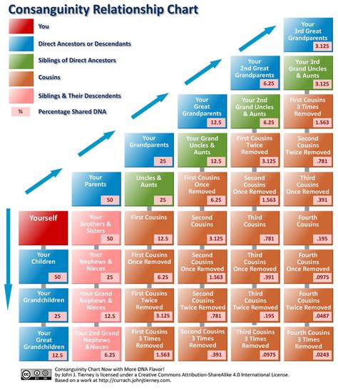 Cousintreeshowinggenetickinship 886×1024 Pixels With Images