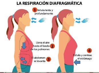 C Mo Aprender A Respirar Con El Diafragma