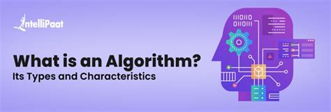 What is an Algorithm: Definition, Types, Characteristics