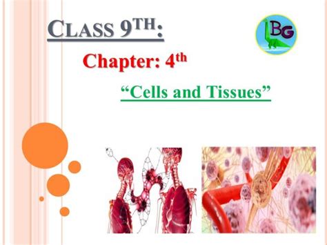 9th Class Biology Mcqs Chapter 4th Cells And Tissues Being Ghazali