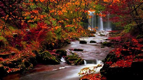 🔥 [40+] Fall Landscapes Wallpapers | WallpaperSafari