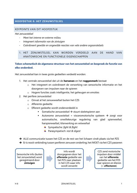 Af Key Points Het Zenuwstelsel Hoofdstuk Het Zenuwstelsel