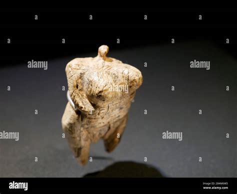 Venus Vom Hohle Fels Made Of Mammoth Ivory Years Old Oldest