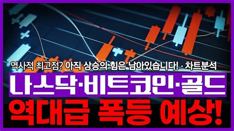 역사적 최고점 나스닥·비트코인 아직 상승의 힘은 남아있습니다 시장 예측·분석 Youtube