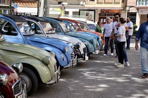 Galer A Las Im Genes De La Colorista Ii Concentraci N De Cl Sicos