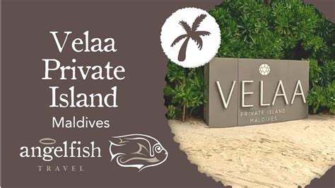 Exclusive Look At Velaa Private Island Maldives Top Luxury Resort