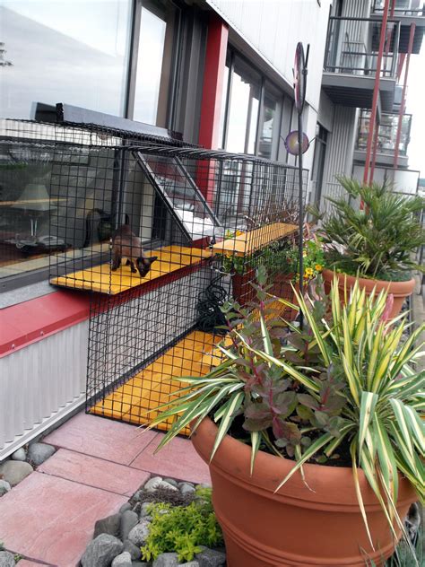 Deck Cat Enclosure For A Highrise Beautiful World Living Environments Abeautifulwor