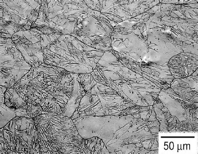 Microstructure Of Cp Titanium After Cold Rolling Transverse Direction