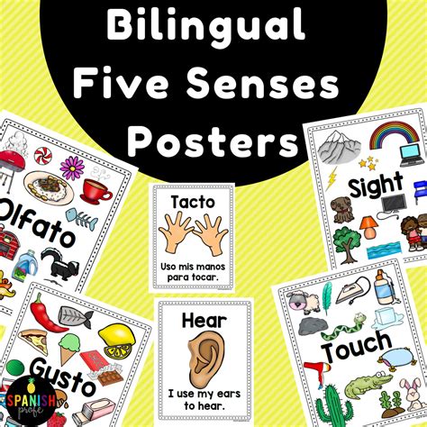 Bilingual Five Senses Posters English Spanish Carteles Cinco