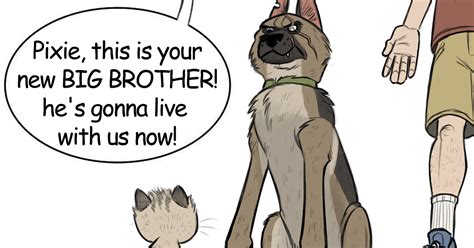 Hilariously Adorable Comics About Retired Military Dog Brutus And Cat